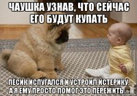 чаушка узнав, что сейчас его будут купать пёсик испугался и устроил истерику, а я ему просто помог это пережить...