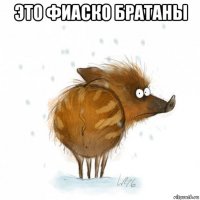 это фиаско братаны 