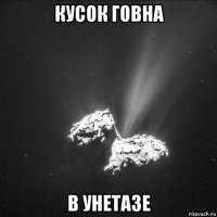 кусок говна в унетазе