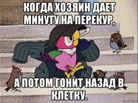 когда хозяин дает минуту на перекур, а потом гонит назад в клетку.
