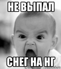 не выпал снег на нг