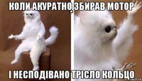 коли акуратно збирав мотор і несподівано трісло кольцо