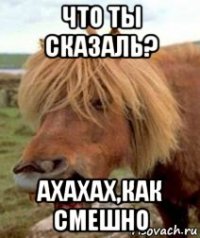 что ты сказаль? ахахах,как смешно