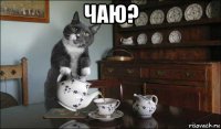 чаю? 