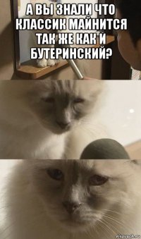 а вы знали что классик майнится так же как и бутеринский? 