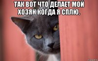 так вот что делает мой хозян когда я сплю. 