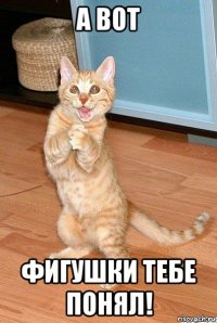 а вот фигушки тебе понял!