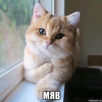  мяв