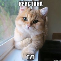 кристина тут