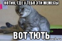 котик, где у тебя эти мемесы вот тють