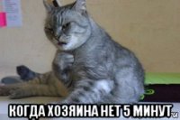  когда хозяина нет 5 минут