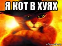 я кот в хуях 