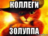 коллеги золуппа