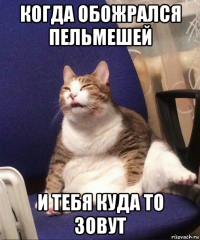когда обожрался пельмешей и тебя куда то зовут