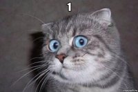 1 