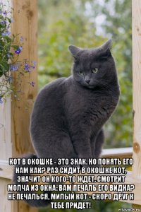  кот в окошке - это знак. но понять его нам как? раз сидит в окошке кот, значит он кого-то ждет. смотрит молча из окна: вам печаль его видна? не печалься, милый кот - скоро друг к тебе придет!