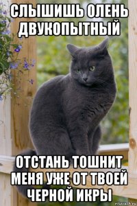 слышишь олень двукопытный отстань тошнит меня уже от твоей черной икры