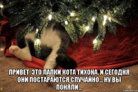 привет, это лапки кота тихона. и сегодня они постараются случайно... ну вы поняли...