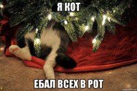 я кот ебал всех в рот