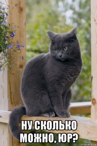  ну сколько можно, юр?