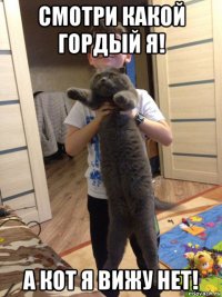 смотри какой гордый я! а кот я вижу нет!