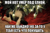 мой кот умер под елкой. как же обидно! но за то у тебя есть что покушать.