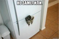 не заметили. 