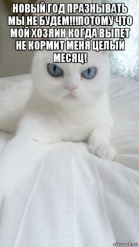 новый год празнывать мы не будем!!!потому что мой хозяин когда выпет не кормит меня целый месяц! 