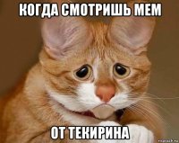 когда смотришь мем от текирина