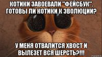 котики завоевали "фейсбук". готовы ли котики к эволюции? у меня отвалится хвост и вылезет вся шерсть?!!!