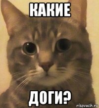 какие доги?