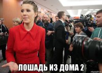  лошадь из дома 2
