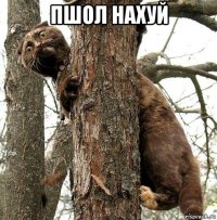 пшол нахуй 