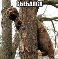 съебался 