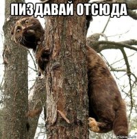 пиздавай отсюда 