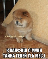  к'ванфиш с'муви тайна теней (1.5 мес.)