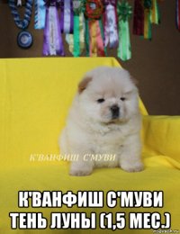  к'ванфиш с'муви тень луны (1,5 мес.)