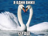 я один вижу сердце