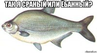 так я сраный или ёбанный? 