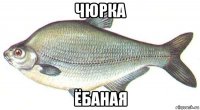 чюрка ёбаная