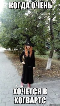 когда очень хочется в хогвартс