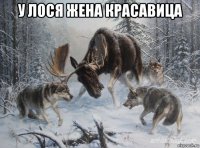 у лося жена красавица 