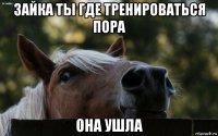 зайка ты где тренироваться пора она ушла