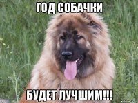 год собачки будет лучшим!!!
