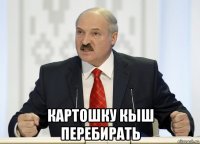  картошку кыш перебирать