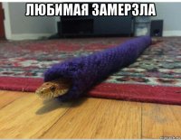 любимая замерзла 