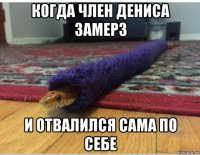 когда член дениса замерз и отвалился сама по себе