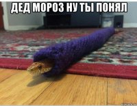 дед мороз ну ты понял 