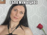 ебло мужыцкое 