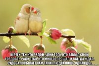  береги тех, кто рядом, цени того, кто забыл свою гордость ради тебя, кто многое прощал и всегда ждал. судьба посылает нам таких людей лишь однажды.